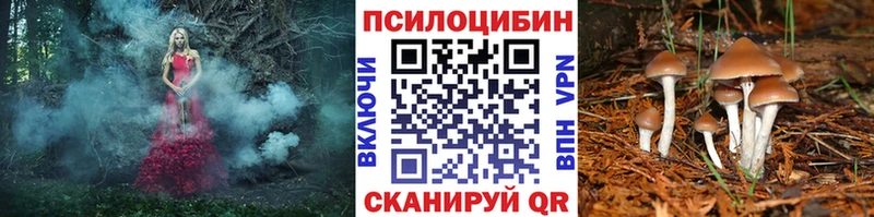 Псилоцибиновые грибы Magic Shrooms  Купить  Миллерово 